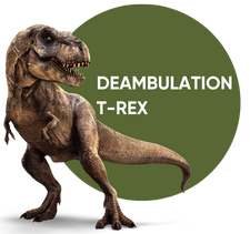 déambulation t-rex