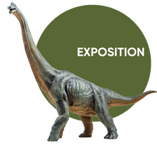 expo